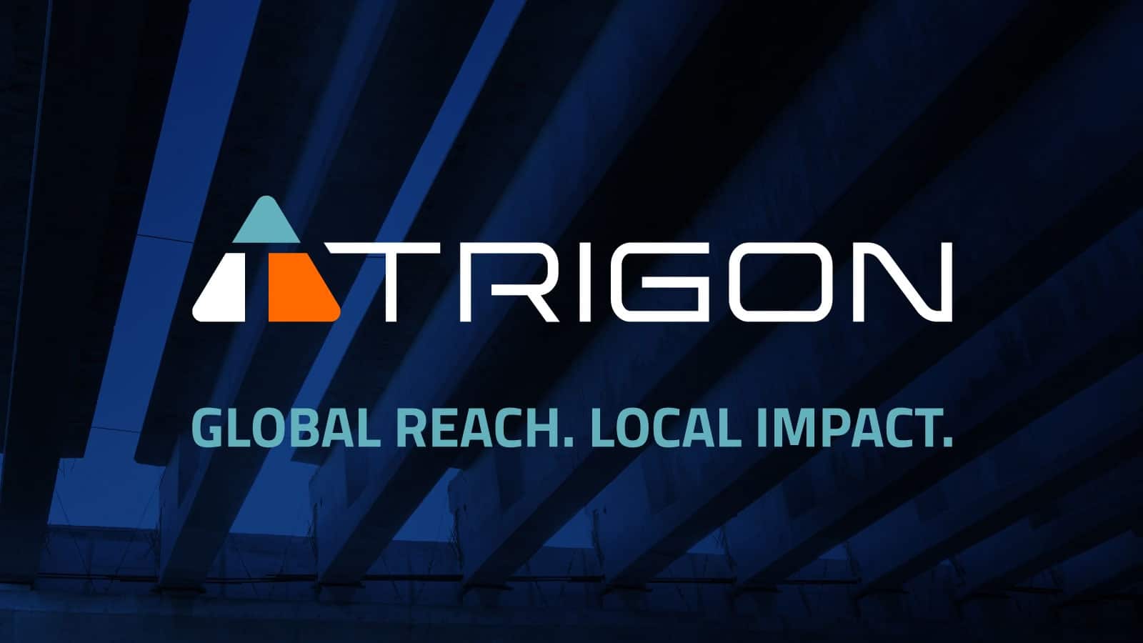 Trigon Associates Engineering Consulting Management.