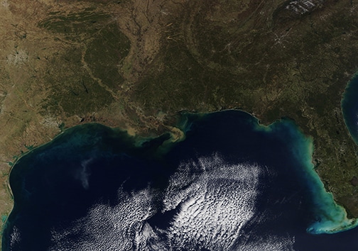 Gulf Coast